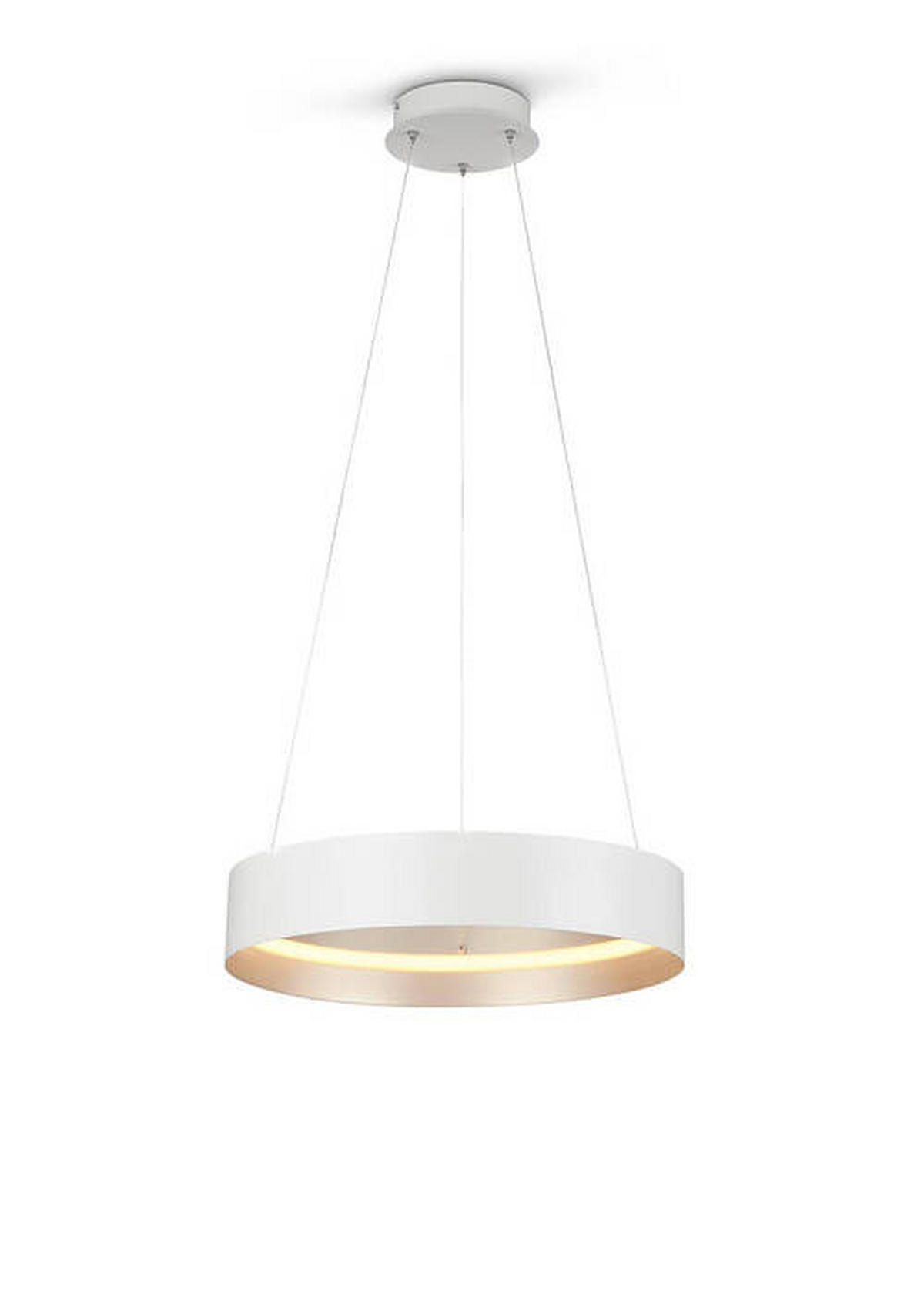 ZÁVESNÉ LED SVIETIDLO, 50/150 cm  - biela/strieborná, Design, kov (50/150cm) - Musterring