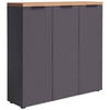 SCHUHSCHRANK Anthrazit, Eichefarben  - Eichefarben/Anthrazit, Design (120/115/34cm) - Xora