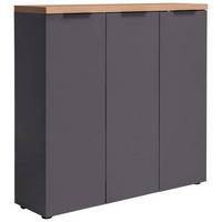 SKOSKÅP 120/115/34 cm  - aluminiumfärg/antracit, Design (120/115/34cm) - Xora