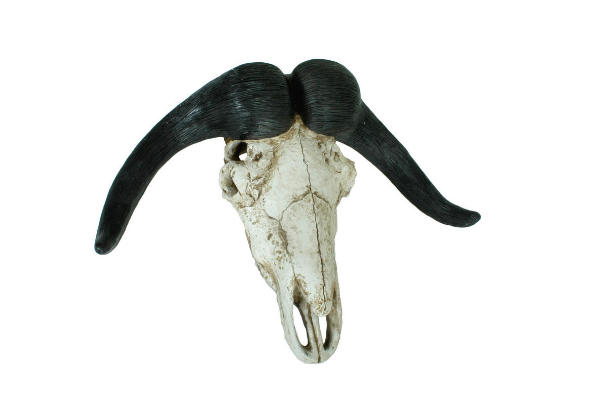 GEWEIH - Braun/Naturfarben, Basics, Kunststoff (65,5/49/21cm)