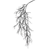 KUNSTBLUME  - Schwarz, Natur (104cm) - X-Mas