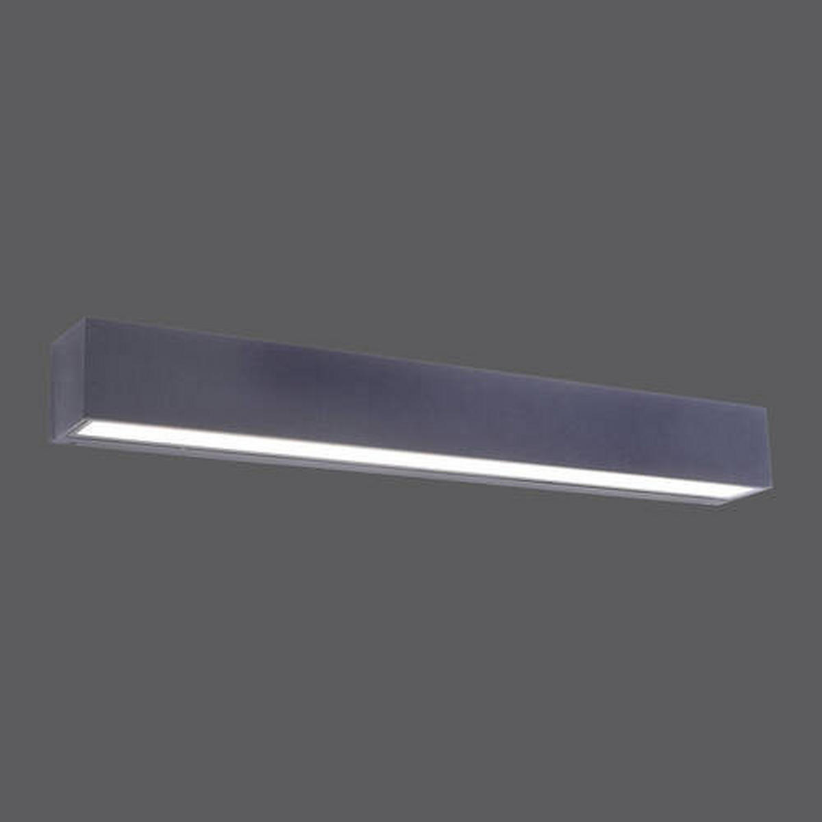 LED-WANDLEUCHTE Robert 50/6/6 cm   - Anthrazit, KONVENTIONELL, Glas/Metall (50/6/6cm) - Paul Neuhaus
