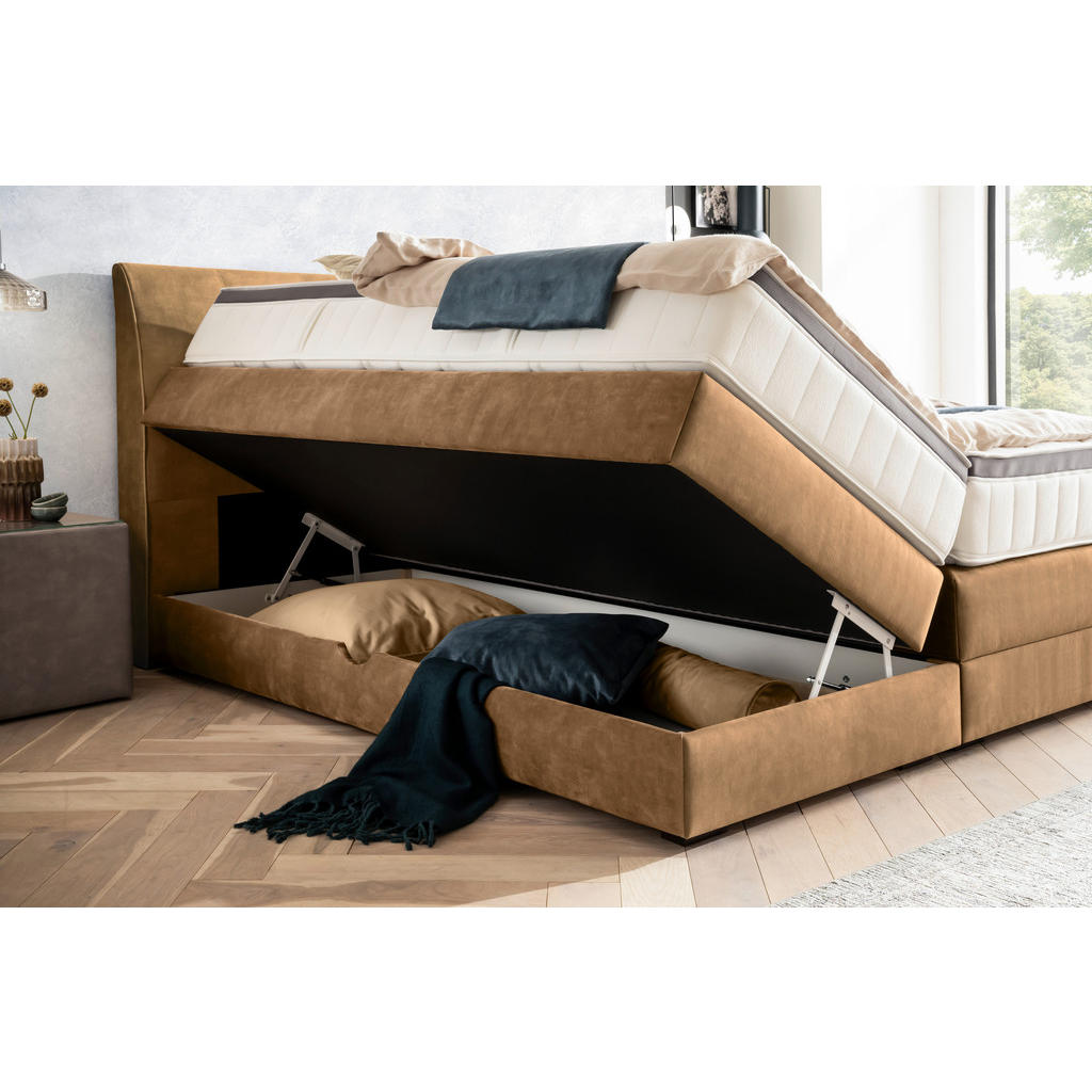 Thumbnail - Novel Boxspringbett, Gold, Textil, Wenge, H2 + H4, 7-Zonen, Höhe ca. 18 cm, 180x200 cm, Bettkasten, Federkernmatratze, S...