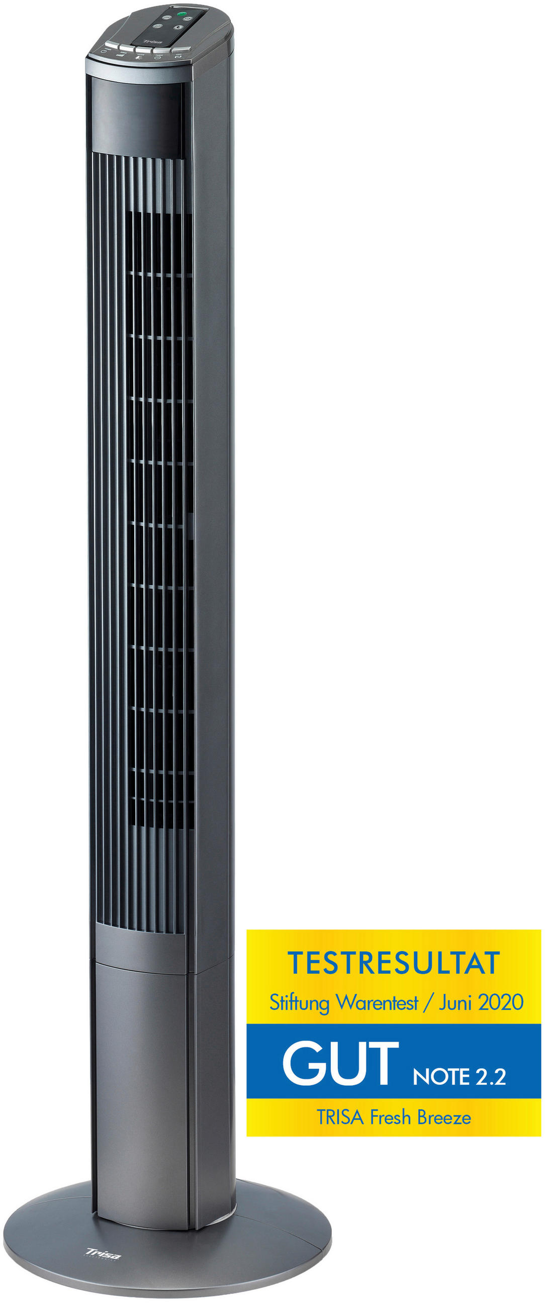 TURMVENTILATOR - Anthrazit, Basics, Kunststoff (120/32/32cm)