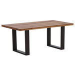 ESSTISCH in Holz, Metall 220/100/76 cm  - Eichefarben/Anthrazit, Design, Holz/Metall (220/100/76cm) - Waldwelt