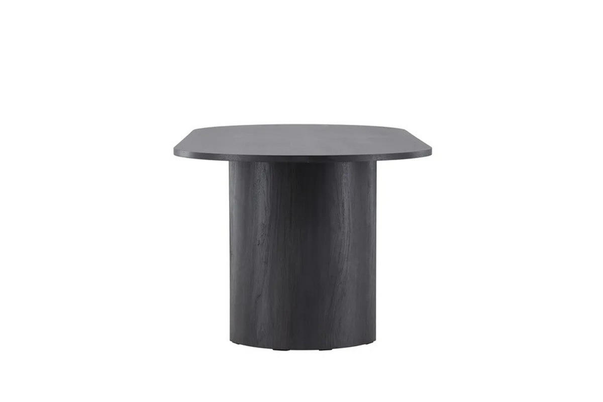 ESSTISCH 220/100/75 cm Echtholz  Holz oval Schwarz  - Schwarz, MODERN, Holz (220/100/75cm) - Livetastic