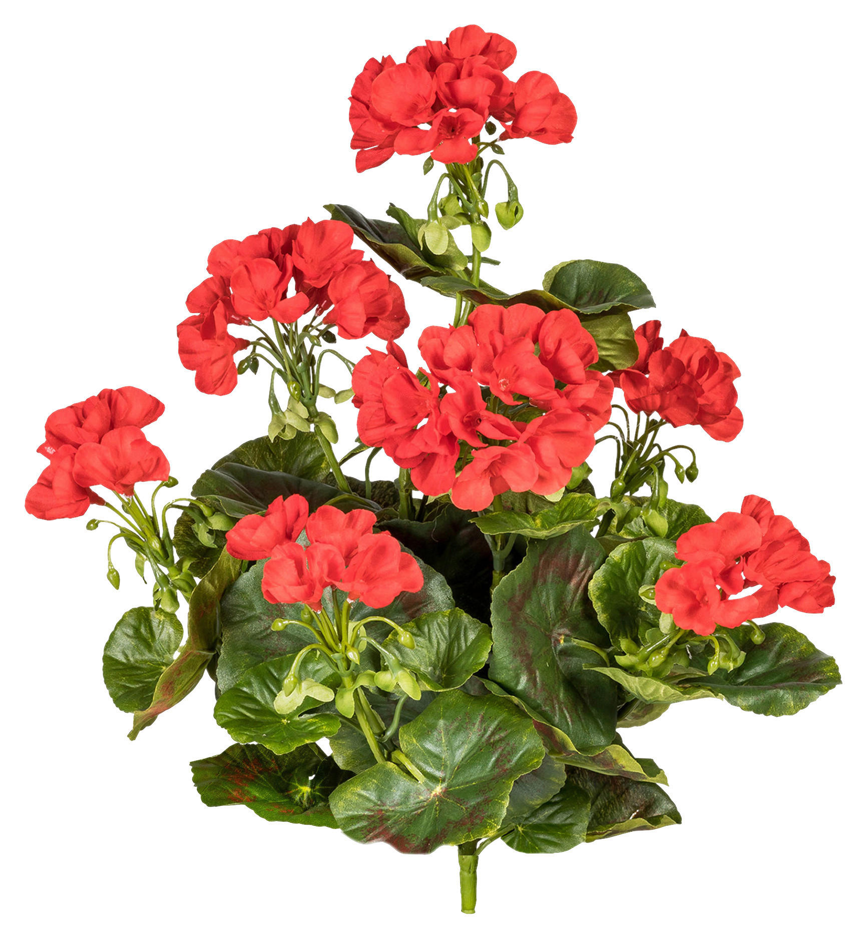 KUNSTPFLANZE Geranie 40 cm  - Rot/Grün, Design, Kunststoff (40cm) - P & B