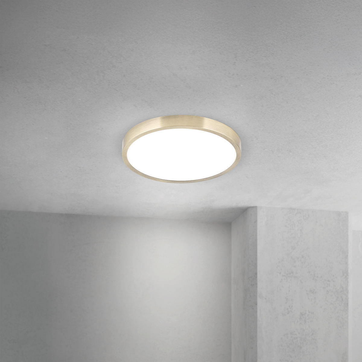 LED-DECKENLEUCHTE Disc 24/2,4 cm   - Bronzefarben, KONVENTIONELL, Kunststoff/Metall (24/2,4cm)
