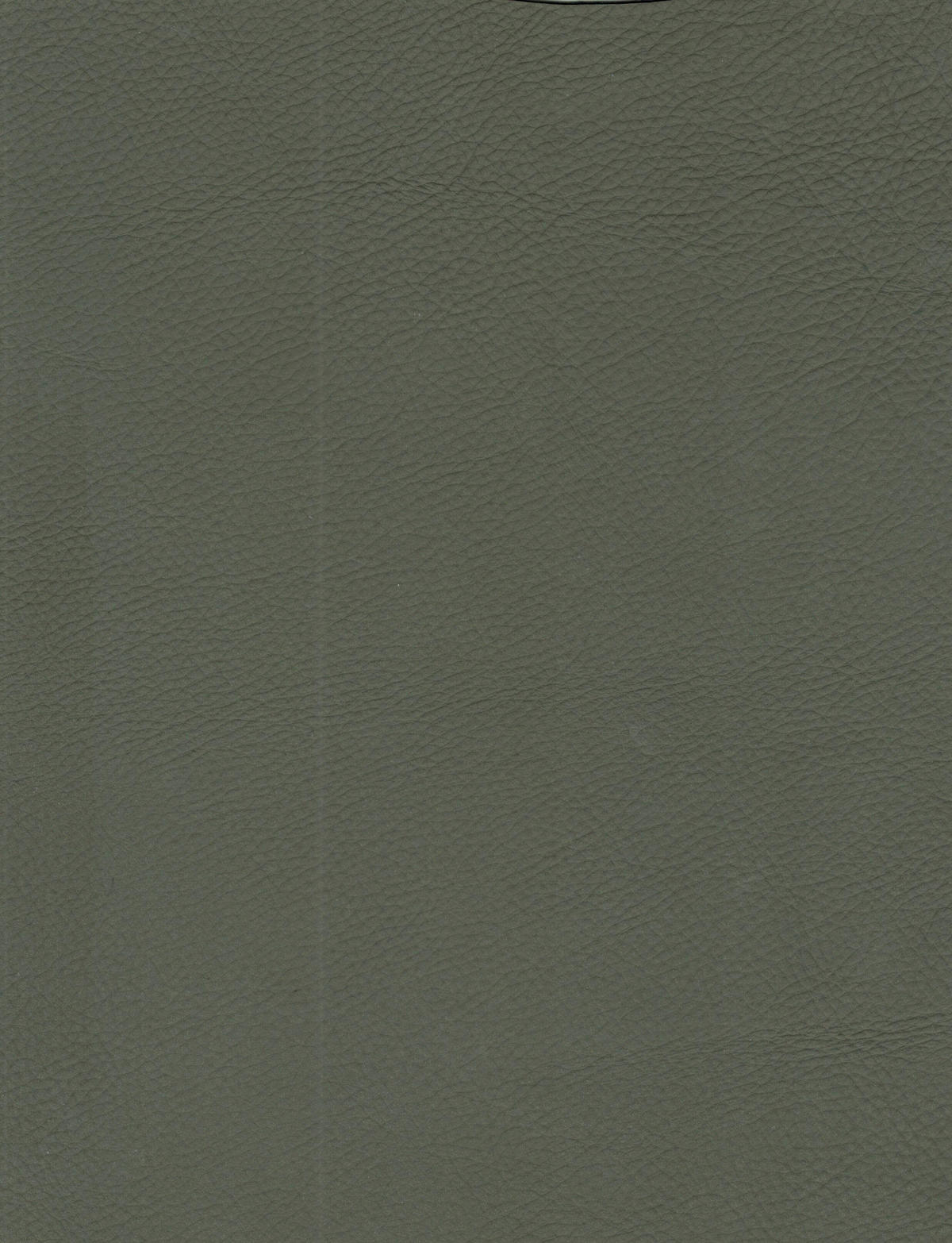 ARMLEHNSTUHL  in Eisen Echtleder pigmentiert  - Schwarz/Grün, Design, Leder/Metall (61/83/61,5cm) - Cassando