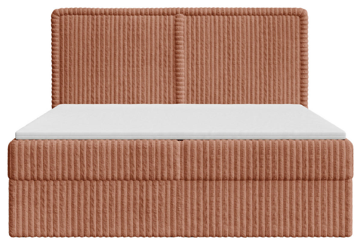 BOXBETT 140/200 cm,  in Terracotta, Bettkasten, Topper, H2 + H3 = mittel + fest  - Terracotta/Schwarz, MODERN, Holz/Kunststoff (140/200cm) - MID.YOU