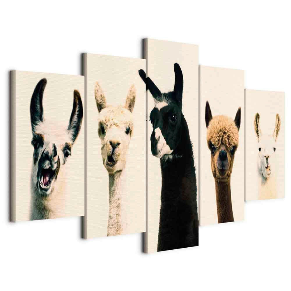 KEILRAHMENBILD Tiere 100/50/1,2 cm  - Beige/Schwarz, Basics, Holzwerkstoff/Textil (100/50/1,2cm) - artgeist