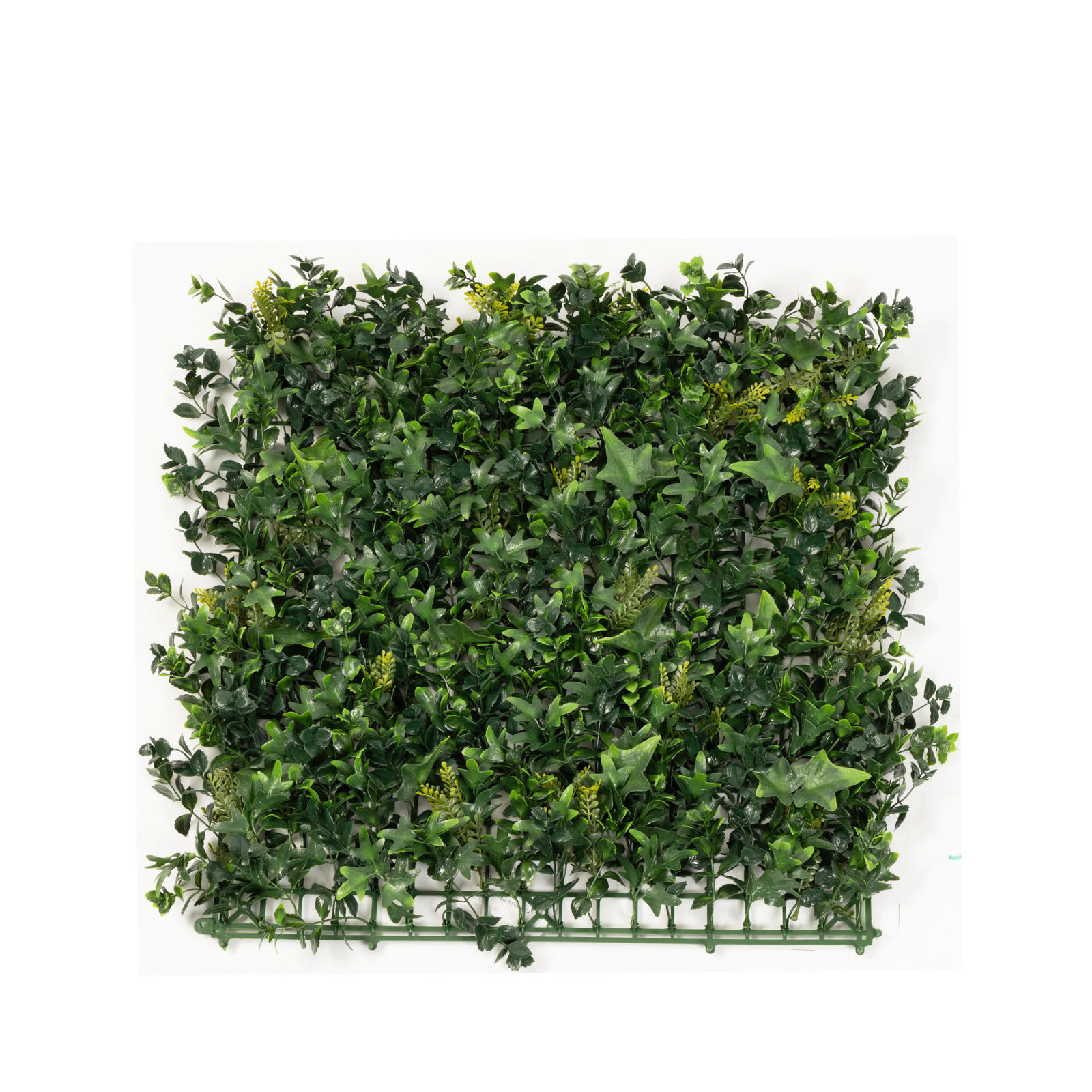 Wandverkleidung Pflanzenwand  Kunststoff  - Jadegrün/Hellgrün, Trend, Kunststoff (50/50cm) - Floordirekt