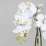 KUNSTPFLANZE Orchidee - Dunkelgrün/Weiß, Keramik/Kunststoff (43cm) KUNSTPFLANZE Orchidee - Dunkelgrün/Weiß, Keramik/Kunststoff (43cm)