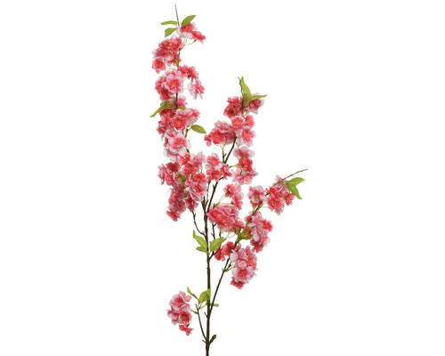 FLOARE DECORATIVĂ - Basics (15/5/127cm)