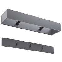 GARDEROBENPANEEL 2 Stück 92/11/24 cm  - Anthrazit, Modern, Holzwerkstoff (92/11/24cm) - Hom`in