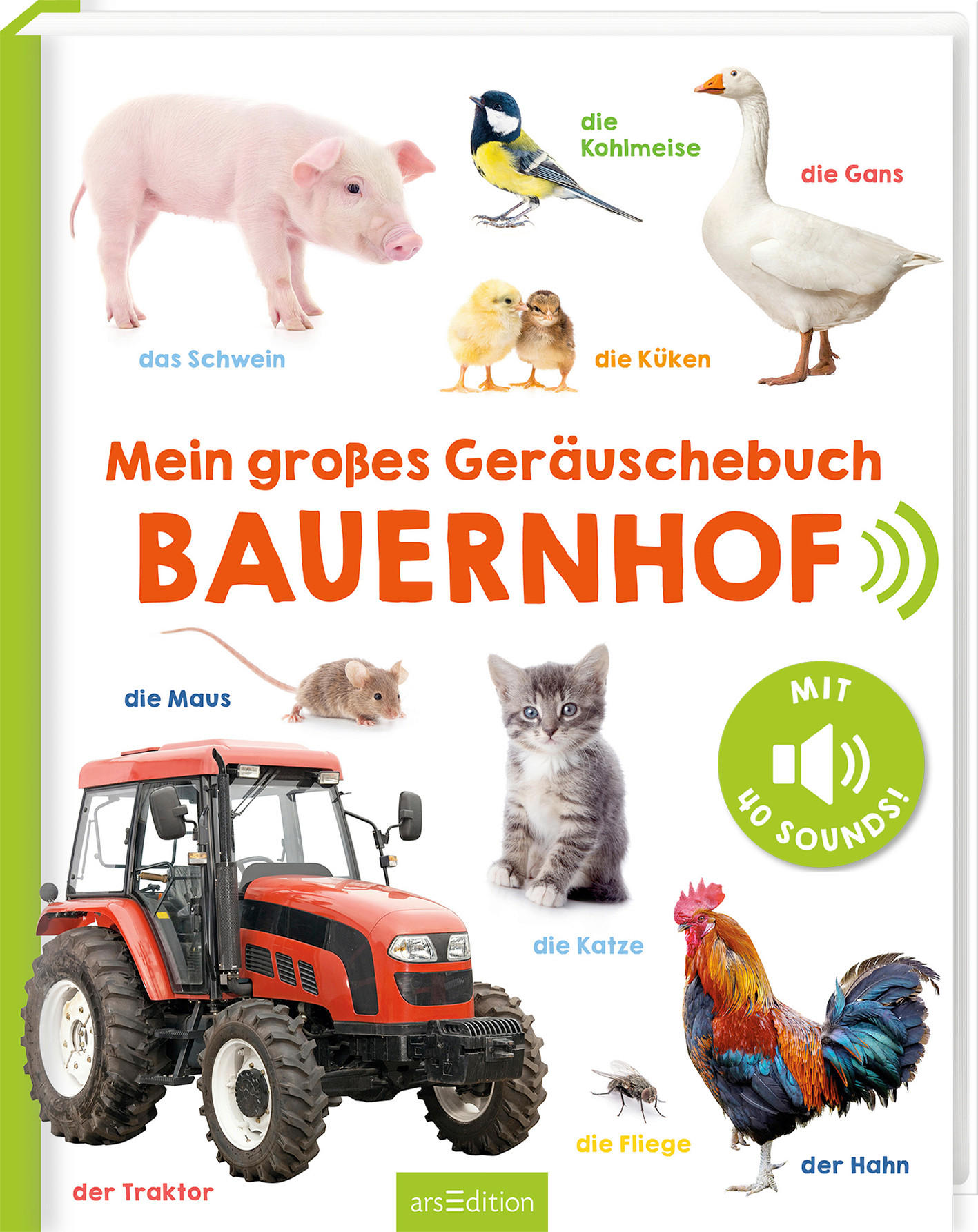 SOUNDBUCH  - Multicolor, Basics, Papier (27,6/22/1,8cm) - Carlsen