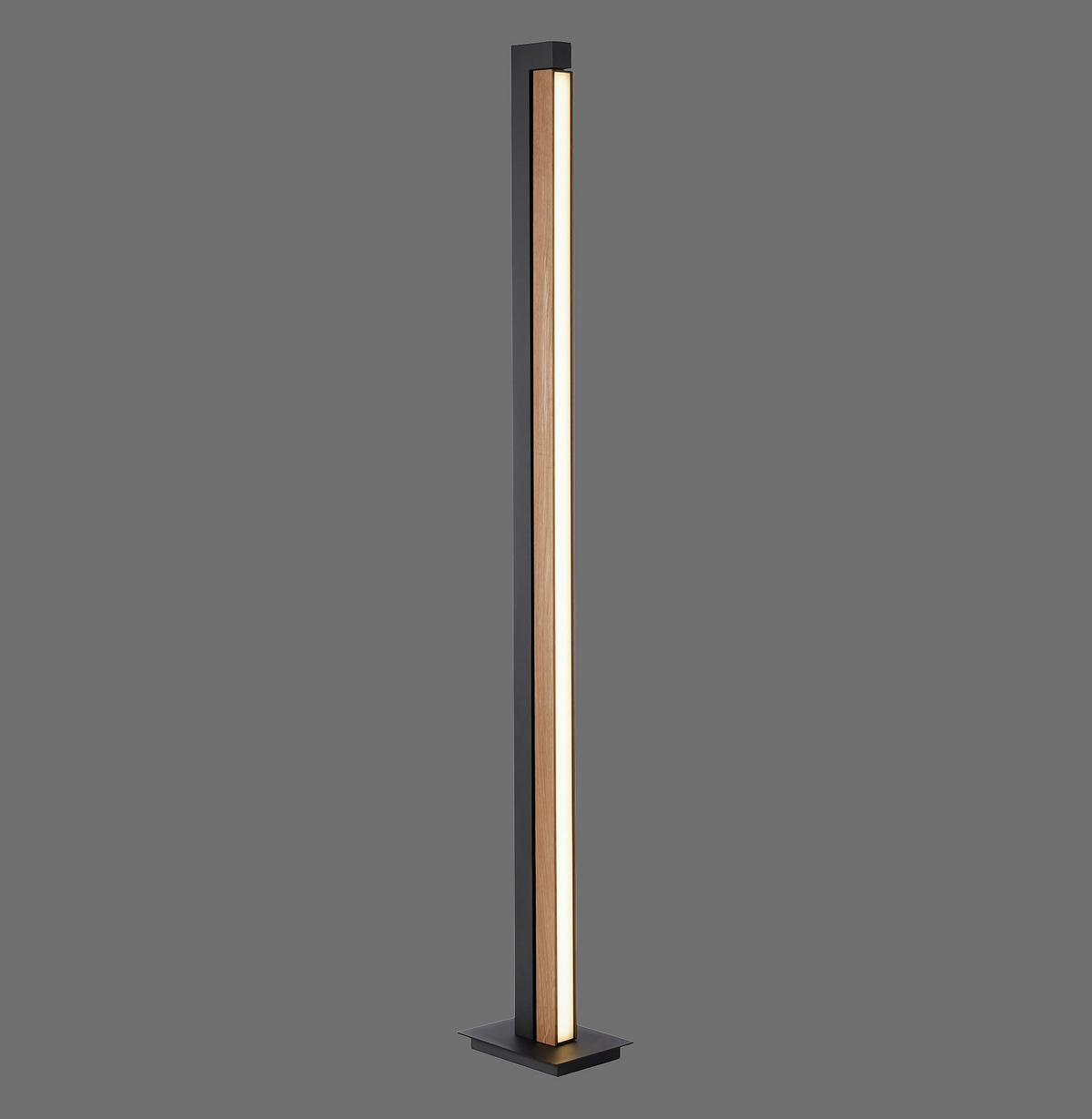 LED-STEHLEUCHTE - Eichefarben/Anthrazit, Design, Holz/Kunststoff (22/16/140cm) - Neuhaus PURE