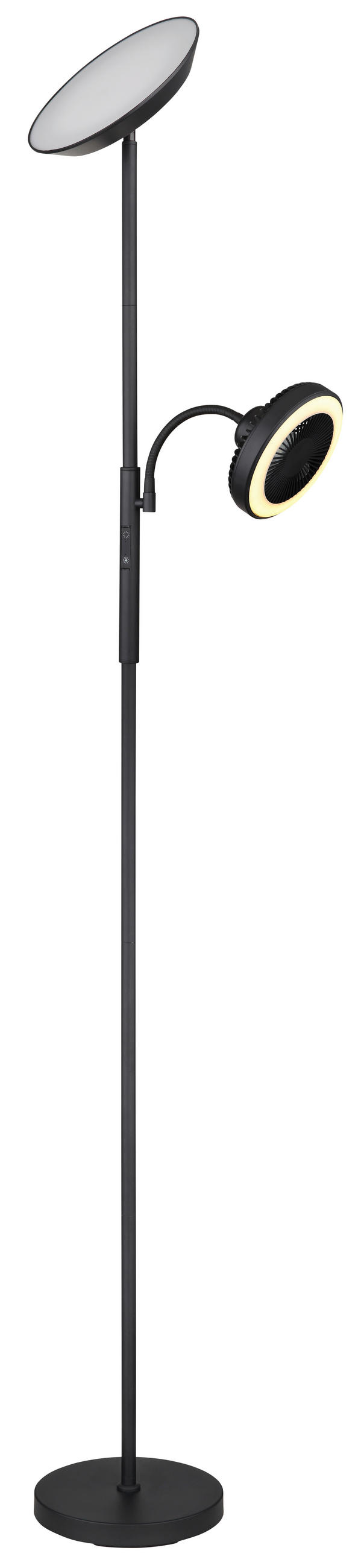 LED-STEHLEUCHTE - Opal/Schwarz, Konventionell, Kunststoff/Metall (33,7/25/178cm) - Globo