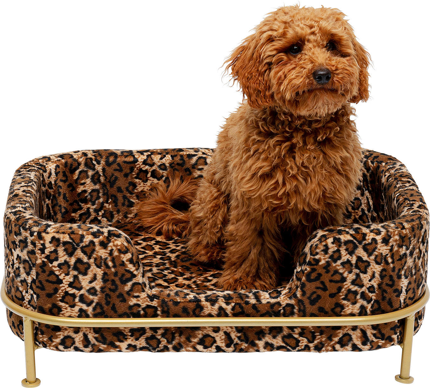 HUNDEBETT - Goldfarben/Schwarz, Design, Textil/Metall (63/25/44cm) - Kare-Design