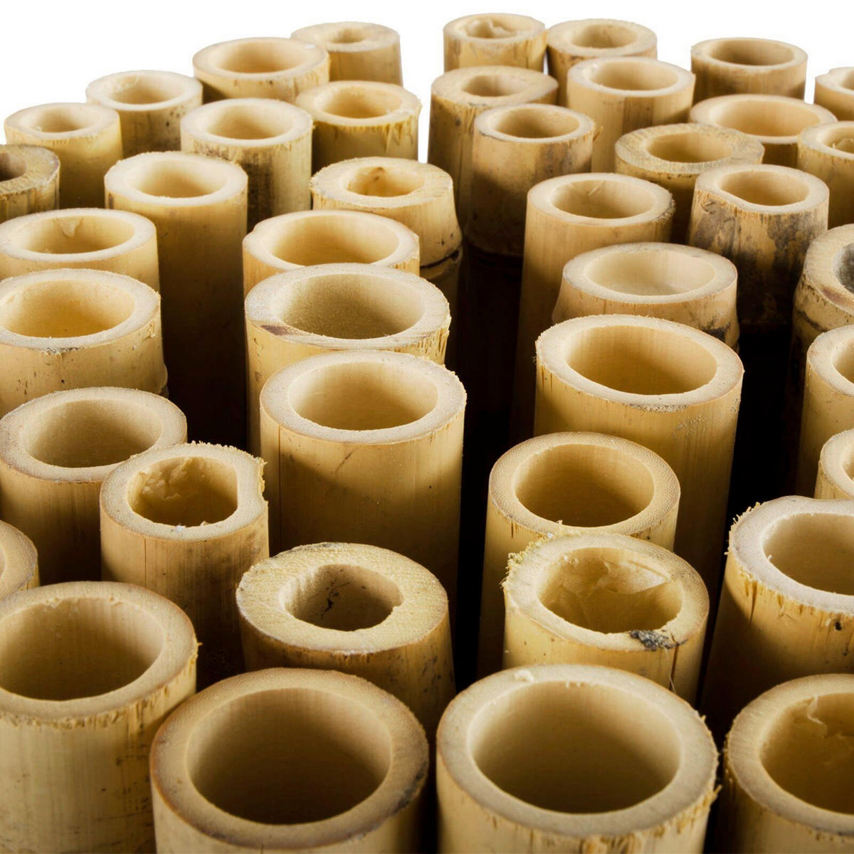 SICHTSCHUTZ - Basics (180/200cm) - Floordirekt