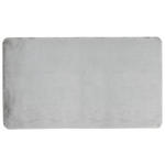 BADTEPPICH Hellgrau 70/120 cm  - Hellgrau, Basics, Kunststoff/Textil (70/120cm) - Esposa