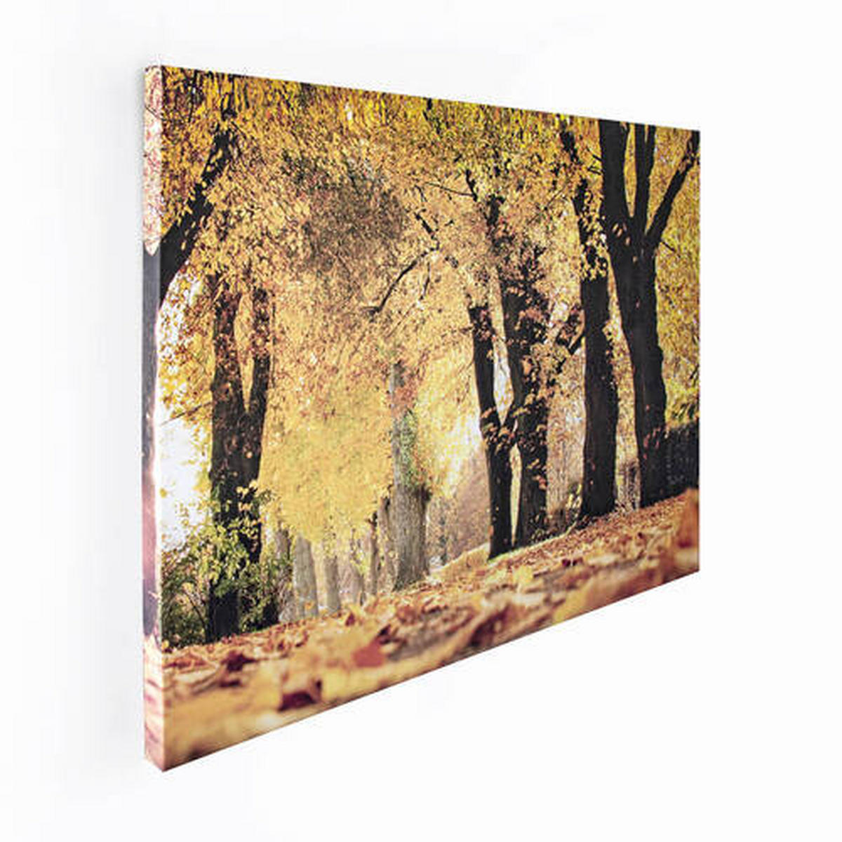 LEINWANDBILD Landschaft & Natur 75/100/3 cm  - Multicolor, Basics, Wellpappe/Textil (75/100/3cm)