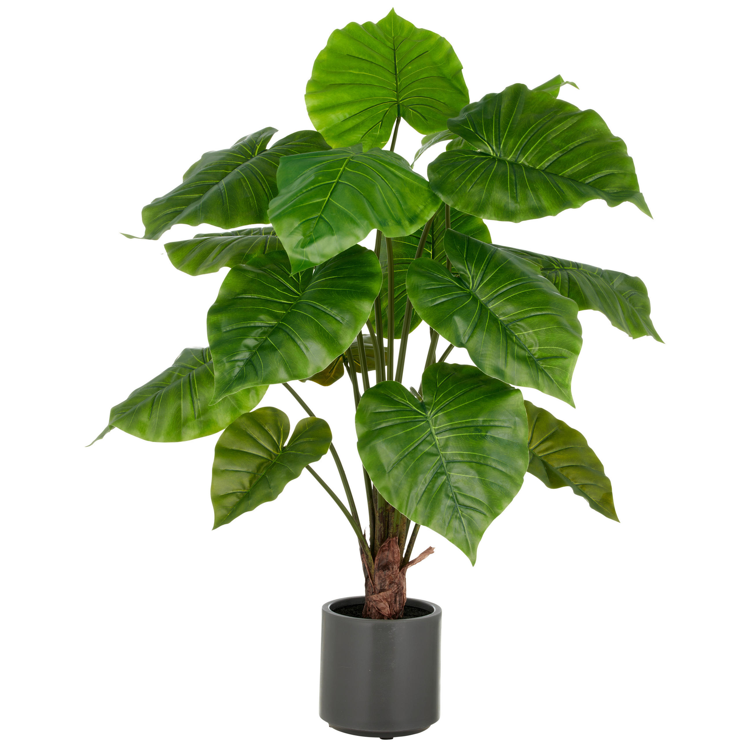 XXXLutz Kunstpflanze Alocasia Wentii Grün 100 cm