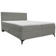 BOXBETT 160/200 cm  in Hellgrau  - Hellgrau/Schwarz, Design, Holz/Holzwerkstoff (160/200cm) - Xora