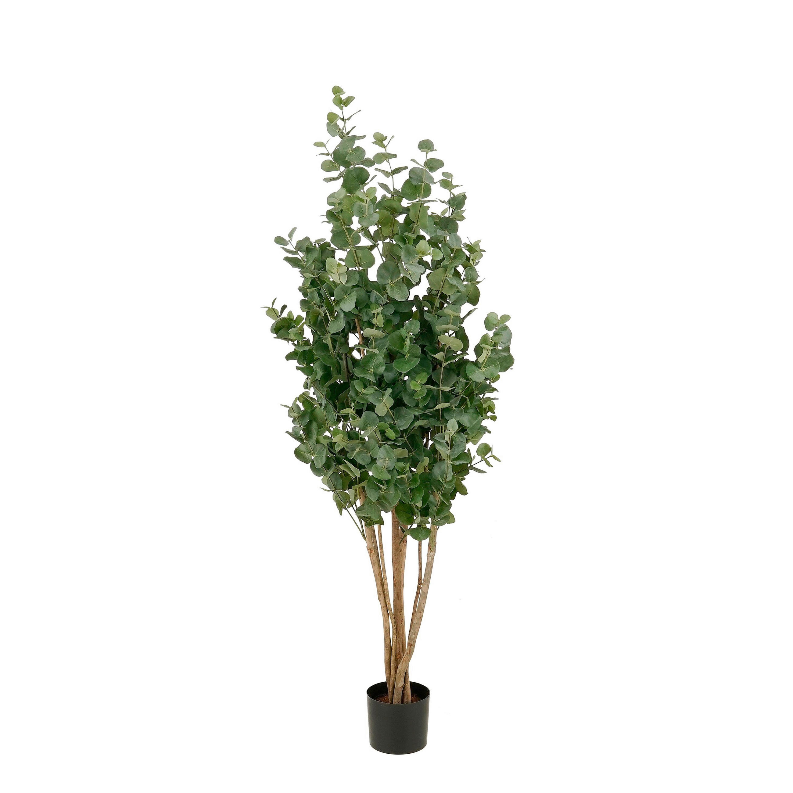 BILJKA UMJETNA  - zelena, Basics, plastika (90/90/175cm)