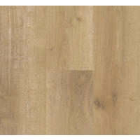 LAMINATBODEN Laminat Basic 400  per  m² - Eichefarben, Basics, Holzwerkstoff (128.5/19.4/0.8cm) - Parador