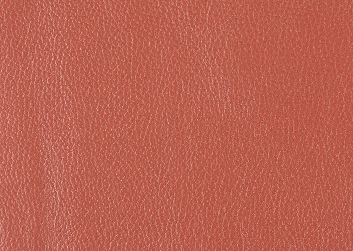 2-SITZER-SOFA in Echtleder Rot  - Rot/Schwarz, Design, Leder/Metall (180/82/92cm) - Johann Jakob