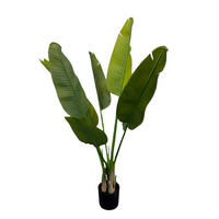 KUNSTPFLANZE Strelitzie  - Schwarz/Grün, Basics (70/110cm)