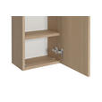 HÄNGESCHRANK 30/64/20 cm  - Eichefarben, KONVENTIONELL, Holzwerkstoff (30/64/20cm) - Xora