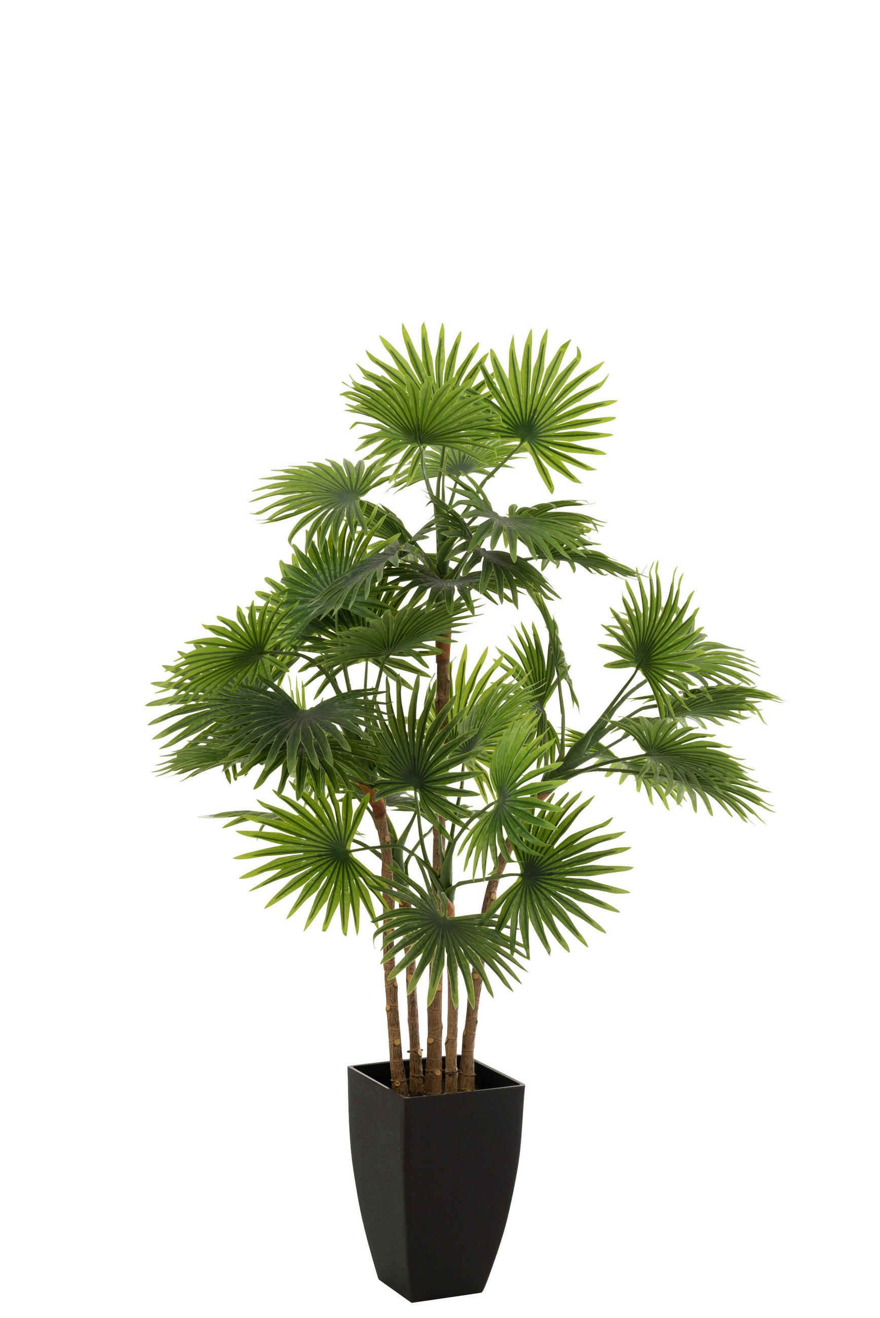 KUNSTPFLANZE Palme  - Grün, Basics, Kunststoff (75/75/112cm) - Ambia Home