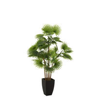 KUNSTPFLANZE Palme  - Grün, Basics, Kunststoff (75/75/112cm) - Ambia Home
