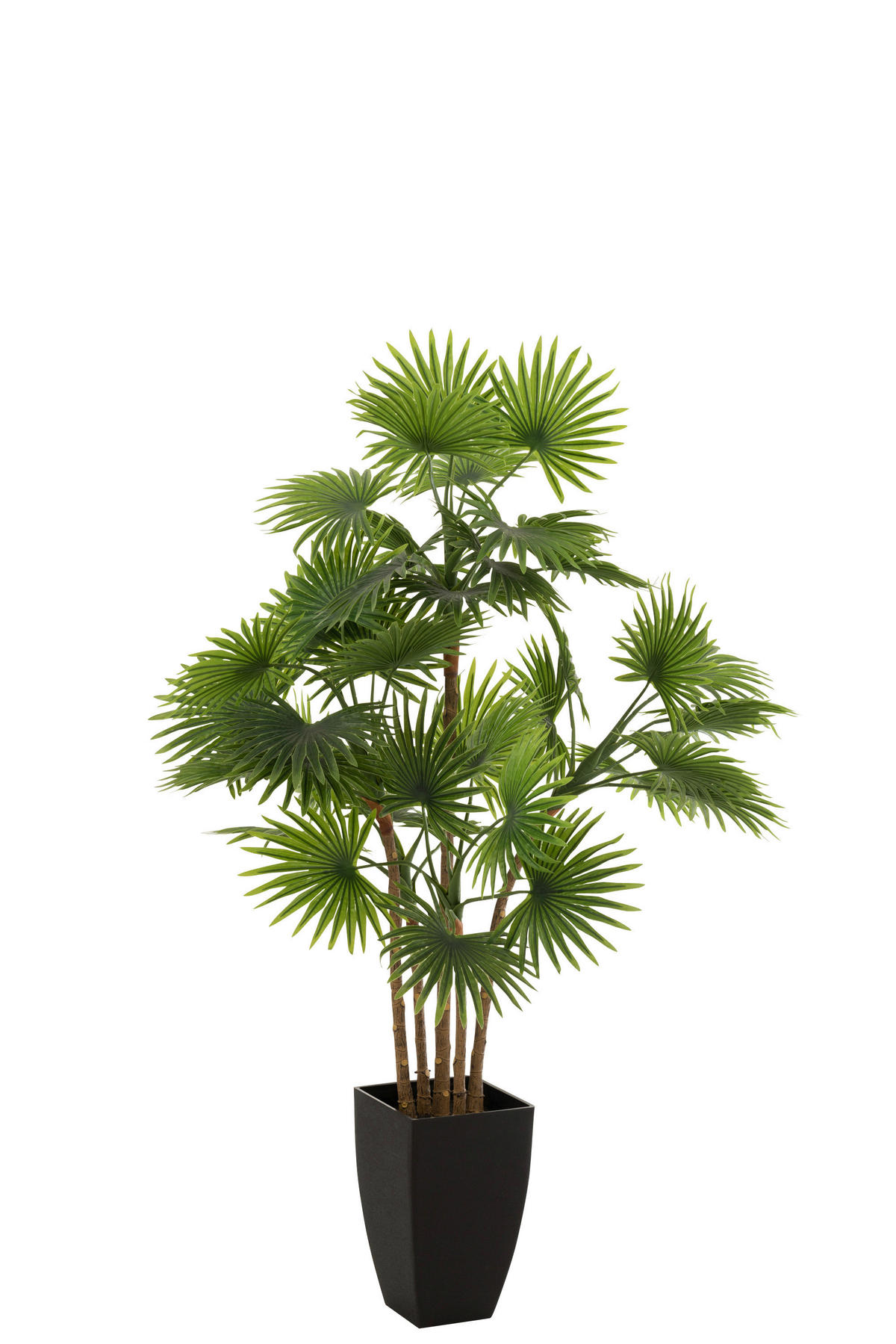 KUNSTPFLANZE Palme  - Grün, Basics, Kunststoff (75/75/112cm) - Ambia Home