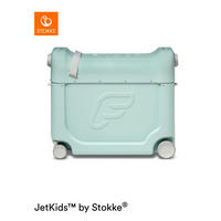 KINDERTROLLEY Mintgrün  - Mintgrün, Basics, Kunststoff (39/19/47cm) - Stokke