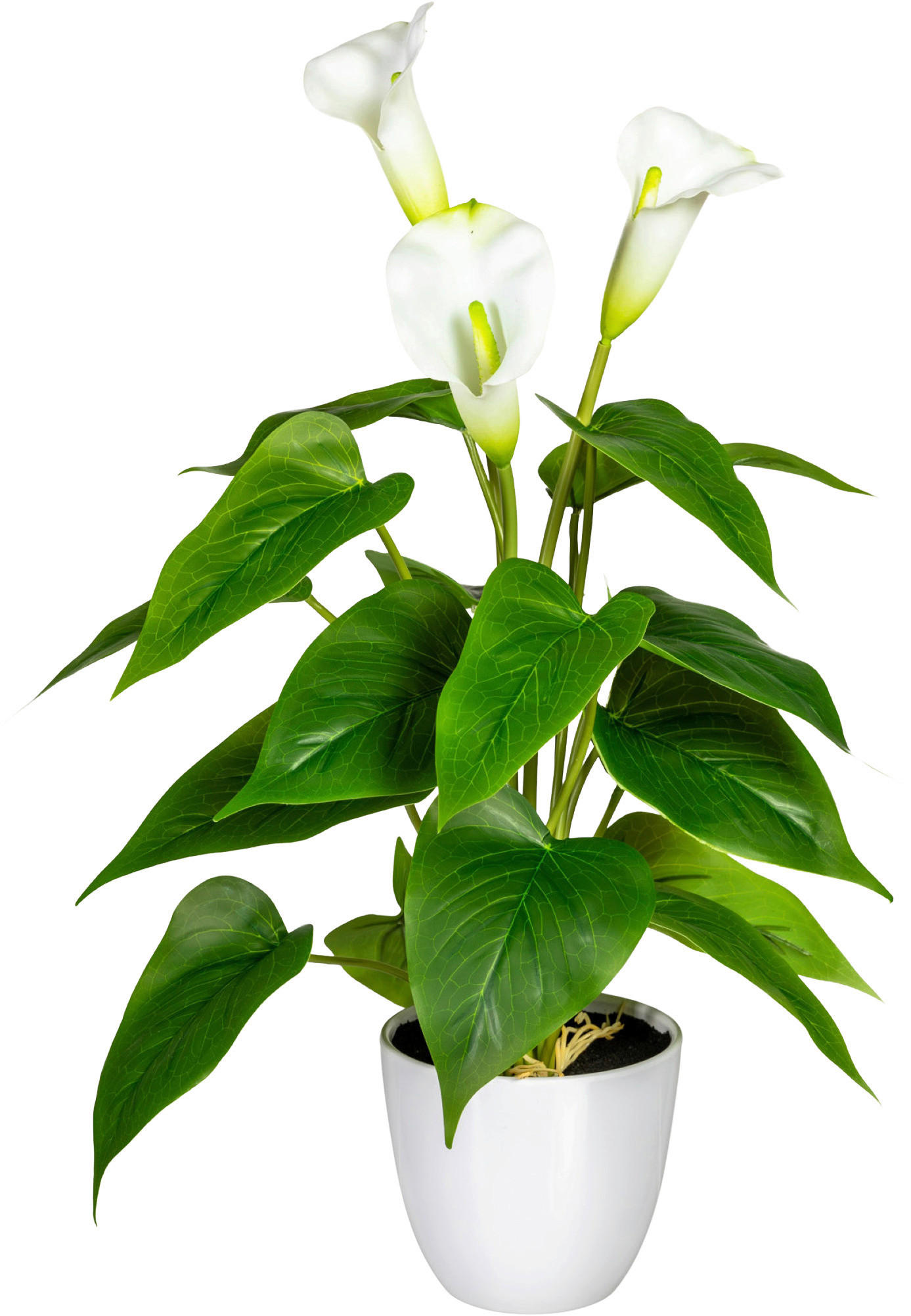 KUNSTPFLANZE Calla 44 cm  - Weiß/Grün, Design, Kunststoff (44cm) - P & B