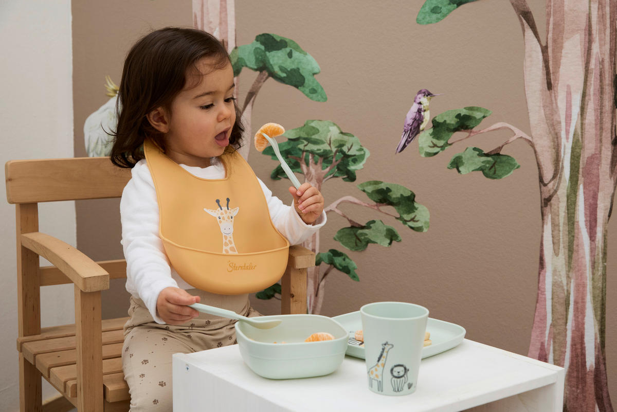 KINDERGESCHIRRSET Safari 5-teilig  - Multicolor, Basics, Kunststoff (23,5/25/10cm) - Sterntaler