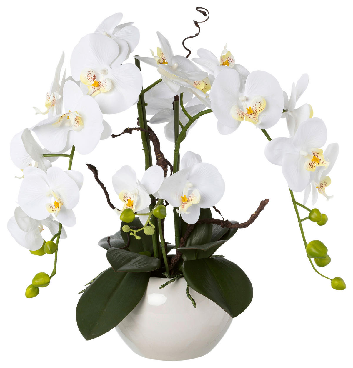 KUNSTPFLANZE Orchidee 55 cm  - Weiß/Grün, Design, Keramik/Kunststoff (55cm) - P & B