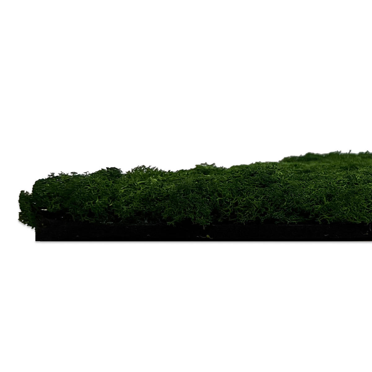 AKUSTIKPANEEL Modular Wall System Design Moos 52/52/4 cm  - Grün, KONVENTIONELL, Naturmaterialien (52/52/4cm) - Jangal