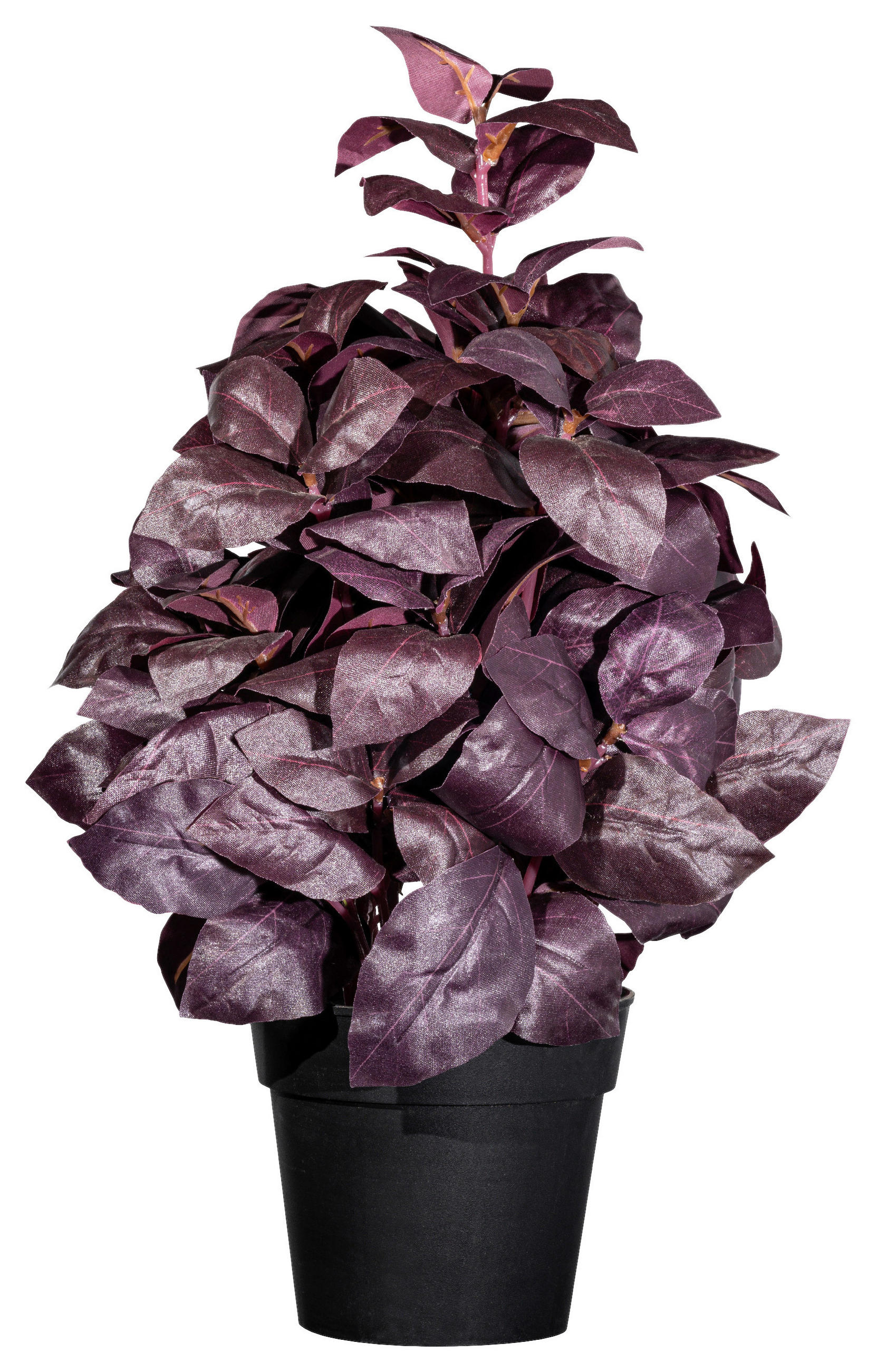 KUNSTPFLANZE Kräuter 30 cm  - Bordeaux/Schwarz, Design, Kunststoff (30cm) - P & B