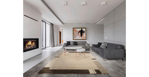 WEBTEPPICH 120/170 cm Palazzo Lobo Braun, Beige  - Beige/Braun, KONVENTIONELL, Textil (120/170cm) - Novel