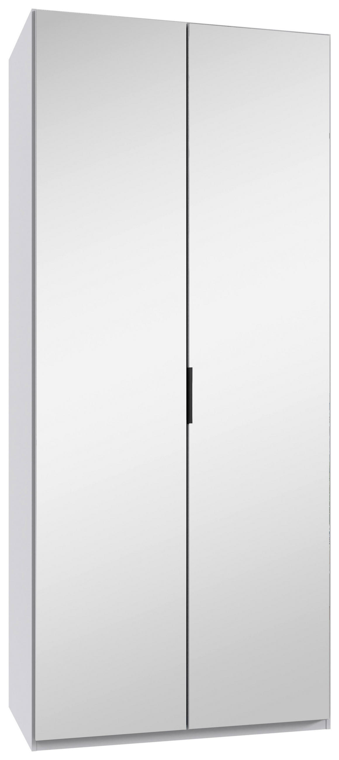 FALTTÜRENSCHRANK 100/236/58 cm 2-türig Weiß  - Schwarz/Weiß, Design, Glas/Holzwerkstoff (100/236/58cm) - Boxxx