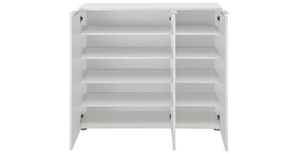 SCHUHSCHRANK in 120/101/39 cm - Edelstahlfarben/Schwarz, Design, Holzwerkstoff/Kunststoff (120/101/39cm) - Carryhome