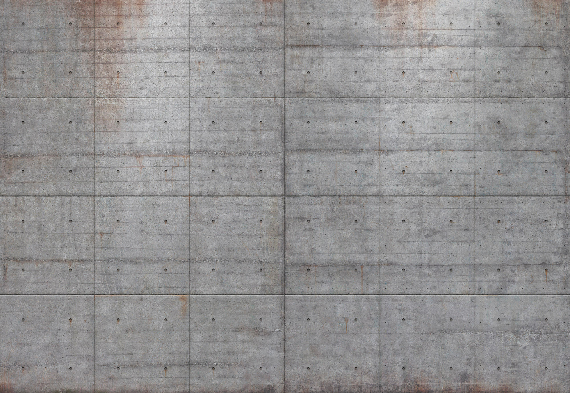 FOTOTAPETE - Grau, Basics, Papier (368/254cm)