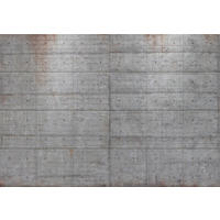 FOTOTAPETE - Grau, Basics, Papier (368/254cm)