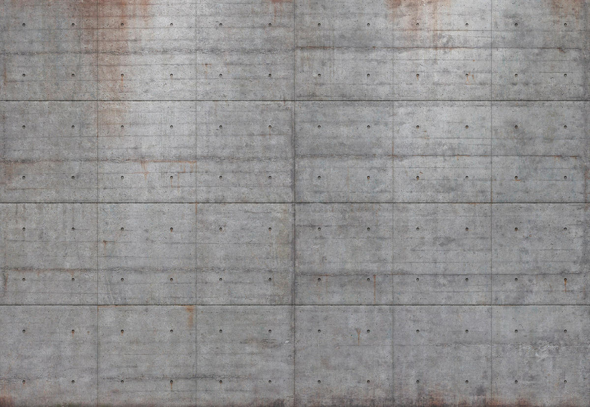 FOTOTAPETE - Grau, Basics, Papier (368/254cm)