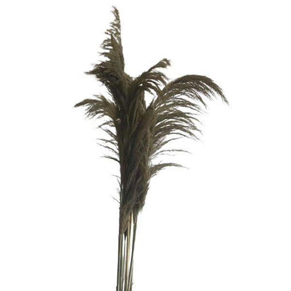 KONSTBLOMMA - Design (90cm)