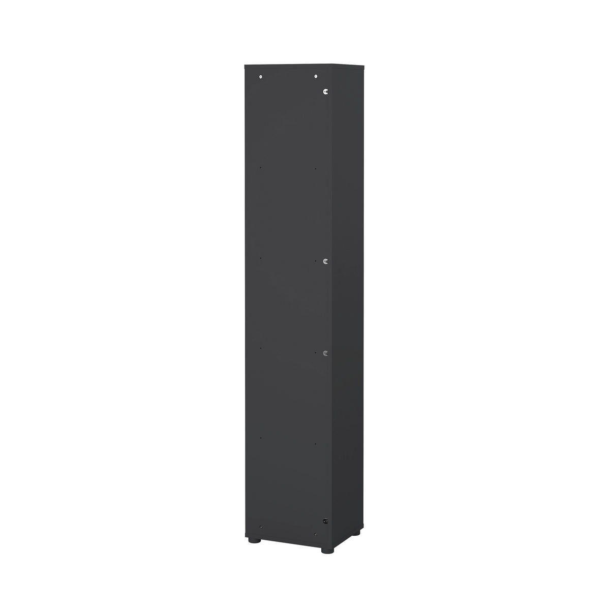 REGAL Grau, Eichefarben  - Eichefarben/Grau, MODERN, Holzwerkstoff (40,8/204,7/34,4cm) - MID.YOU